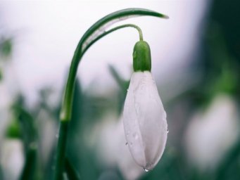 Синоптик: 19 маяв Украине удержится прохладная дождливая погода (КАРТЫ)