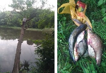 В Эсхаре задержали рыбных браконьеров