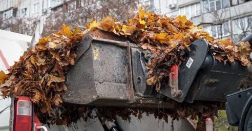 
В Харькове завершают уборку опавших листьев
