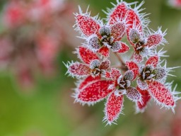С 10 октября в Украине ночная температура воздуха снизится до -8 градусов - метеоролог