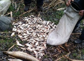 Рыбалка запрещенными сетями обошлась почти в пятьдесят тысяч гривен (ФОТО)