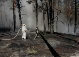 Под Харьковом горят луга, леса и имущество жителей (ФОТО)