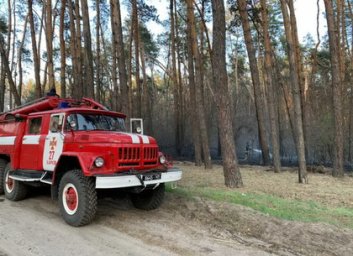 Пожарные 8 часов тушили сосновый лес в Циркунах (ВИДЕО, ФОТО)