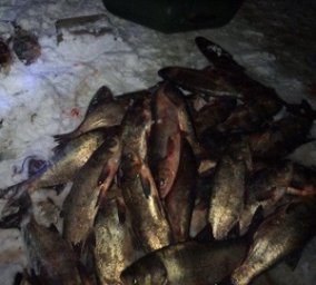 Любитель зимней рыбалки "на первом льду" наловил на 10 000 гн. (ФОТО)