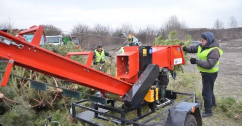 В Харькове утилизируют елки после новогодних праздников