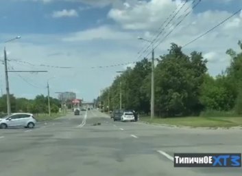 ДТП: Роганскую не поделили легковушки (ВИДЕО)