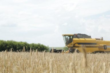 Аграрии Харьковщины завершают уборку ранних зерновых и зернобобовых культур