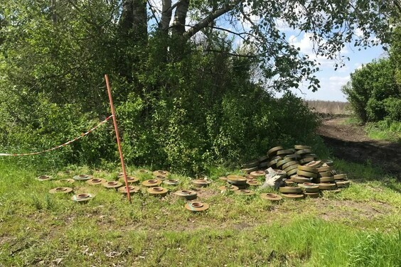 
В Харьковской области во время ремонта ЛЭП саперы обезвредили рекордное количество вражеских мин
