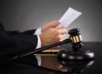 Рубили деревья в трех лесничествах: предприятие может лишиться 7 миллионов