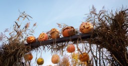 ЗомбиFest, конкурс тыкв и костюмов - в парке Горького отпразднуют Хэллоуин