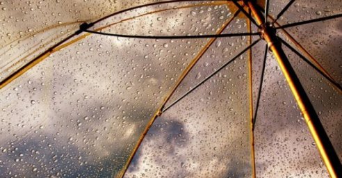 Завтра в Харькове - до 19 градусов тепла и дождь