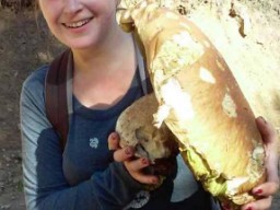 Гигантский гриб весом 2,4 килограмма нашли во Львовской области (ФОТО)