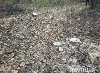 ФОТО: На Харьковщине полицейские разоблачили мужчину в незаконной порубке леса (МВД)