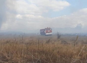 ФОТОфакт: как пожарные спасли лес от огня (ГСЧС)