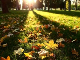 Синоптик: На выходных украинцев ждет роскошная погода - тепло, сухо и солнечно