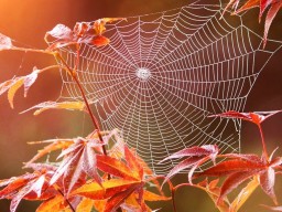 Погода на завтра: в Украине будет тепло и без осадков