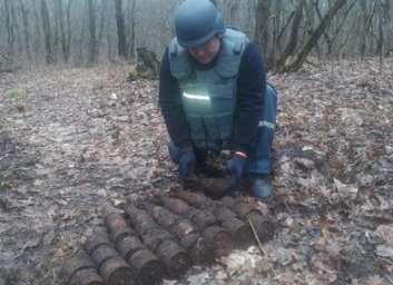 Под конец месяца взрывотехники собрали неплохой урожай гранат в селе под Харьковом (ФОТО)