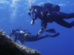 В затопленном российском карьере нашли тела дайверов