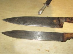 В Полтавской области на полицейских напали с ножом и натравили собак (ФОТО)