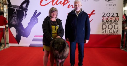 В Харькове проходит международный кинологический фестиваль