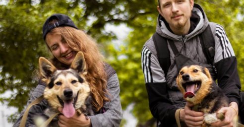 В городском приюте для животных состоялся благотворительный фотопикник