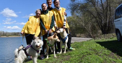 В Харькове пройдут соревнования по ездовому спорту