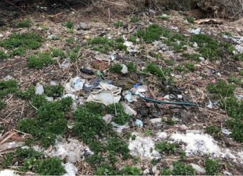 Чиновников накажут за несанкционированные свалки в харьковских пригородах (ФОТО)