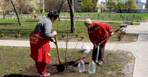 В Слободском районе посадили больше 100 деревьев