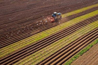 Заработал закон &laquo;О Фонде частичного гарантирования кредитов в сельском хозяйстве&raquo;: что это значит