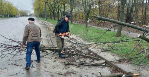 «Харьковзеленстрой» распиливает и вывозит поврежденные деревья