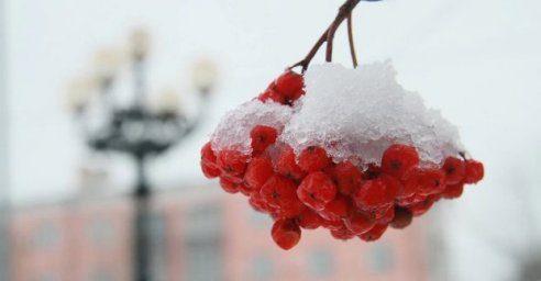 Завтра в Харькове - до 5 градусов мороза и небольшой снег