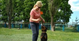 В приюте для животных пройдет День открытых дверей