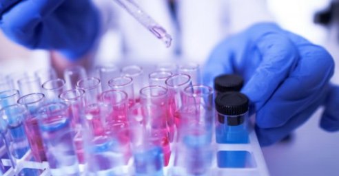 В Харькове обследуют учителей на наличие иммунитета к COVID-19