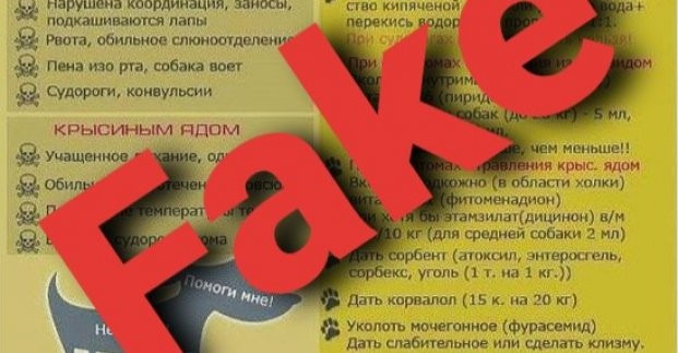 В приюте для животных опровергают фейковую информацию из соцсетей