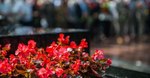 В план мероприятий ко Дню города внесены новые изменения