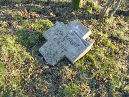 На Волыни нашли более 200 останков немецких солдат (ФОТО)