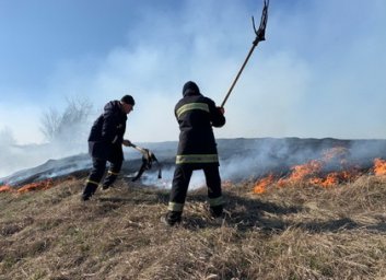 Поджог сухой травы: ответственность может стать уголовной (ВИДЕО)