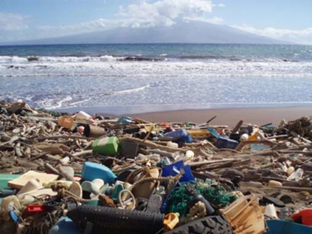 Через 15 лет Черное море превратится в мусорную свалку - экологи (ФОТО)