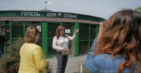 В Покровске будут строить приют для бездомных животных по харьковскому образцу