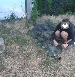 Два десятка незаконно выловленных рыбешек оценили в три тысячи гривен