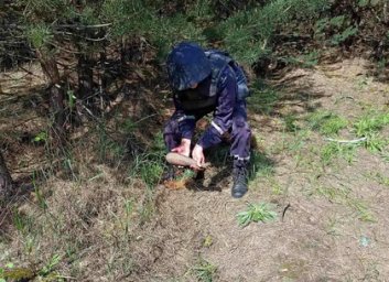 Более полусотни смертельных сюрпризов: спасатели ликвидировали боеприпасы (ФОТО)
