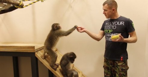 Харьковский зоопарк приглашает на показательные кормления своих питомцев