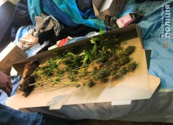 Харьковчанин хранил в доме запрещенные растения на пять лет тюрьмы (ФОТО)