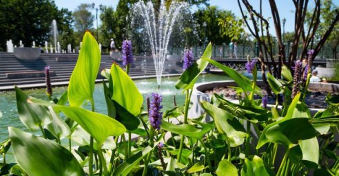 В выходные в Харькове - до 33 градусов тепла