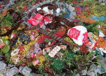 Вандалы повредили цветник и замусорили территорию (ВИДЕО)