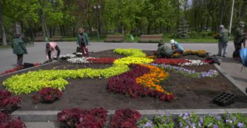 В городе началась масштабная высадка цветов