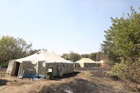 Оперативная информация по пожаров в экосистемах на территории Харьковской и Луганской областей