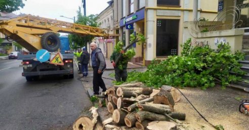 «Харьковзеленстрой» убирает поваленные деревья