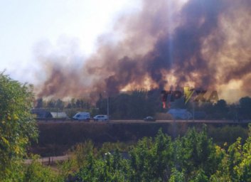 ФОТО: Спасатели едва отстояли жилые дома от подожжённого пироманами камыша на Жихоре - комментарии р