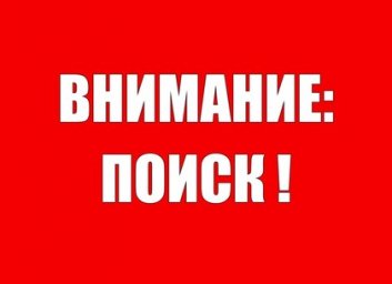 Внимание, разыскиваются очевидцы ДТП: сбили пешехода (ФОТО)